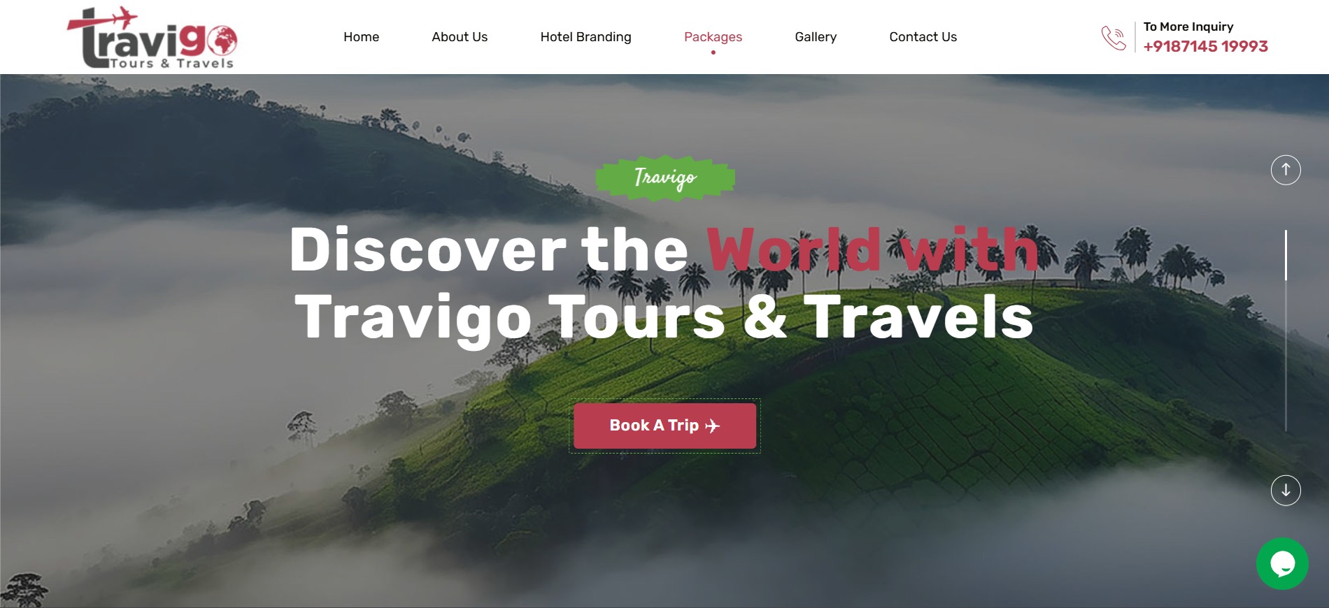 Travigo Tours website design